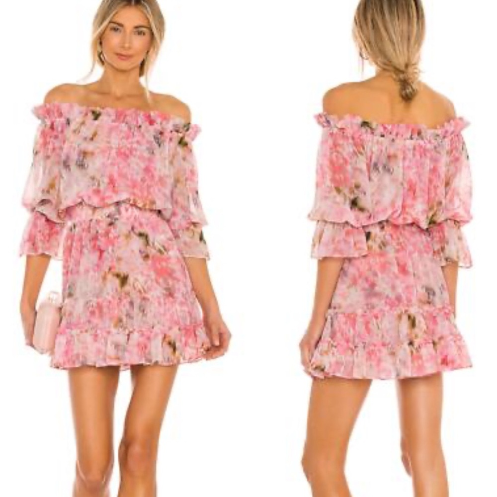 Misa Los Angeles , Floral Pink Ruffle Danae Dress, Mini, XL